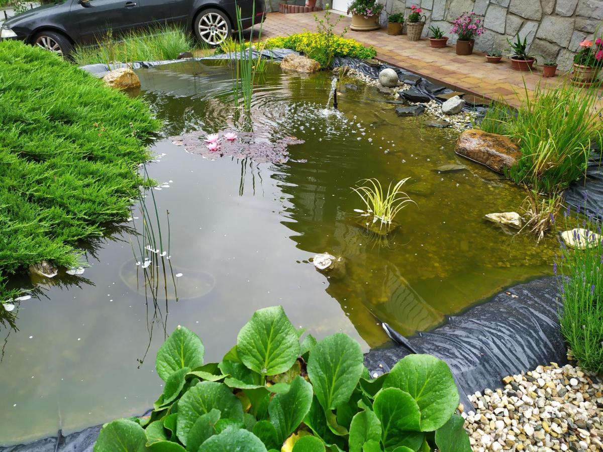 Ubytovani Iris Dolany  ภายนอก รูปภาพ